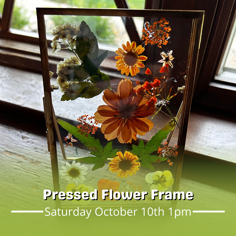 Pressed Flower Frame