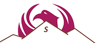 LOGO_no ESSNA_Close up.png