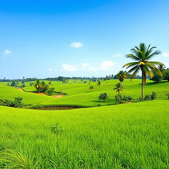 A highly realistic, photo-quality image showing a peaceful, green natural landscape in Imo