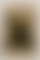 Anna als Action-Figur "Die Geschichtskriegerin"