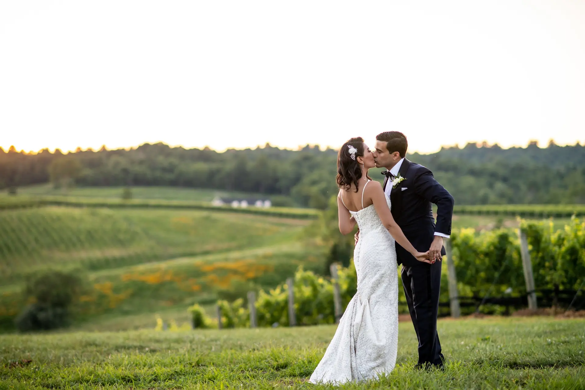 Marias Vineyard