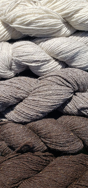 echo valley yarn colors_edited.jpg