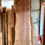 Thumbnail: Sequoia Redwood drum kit