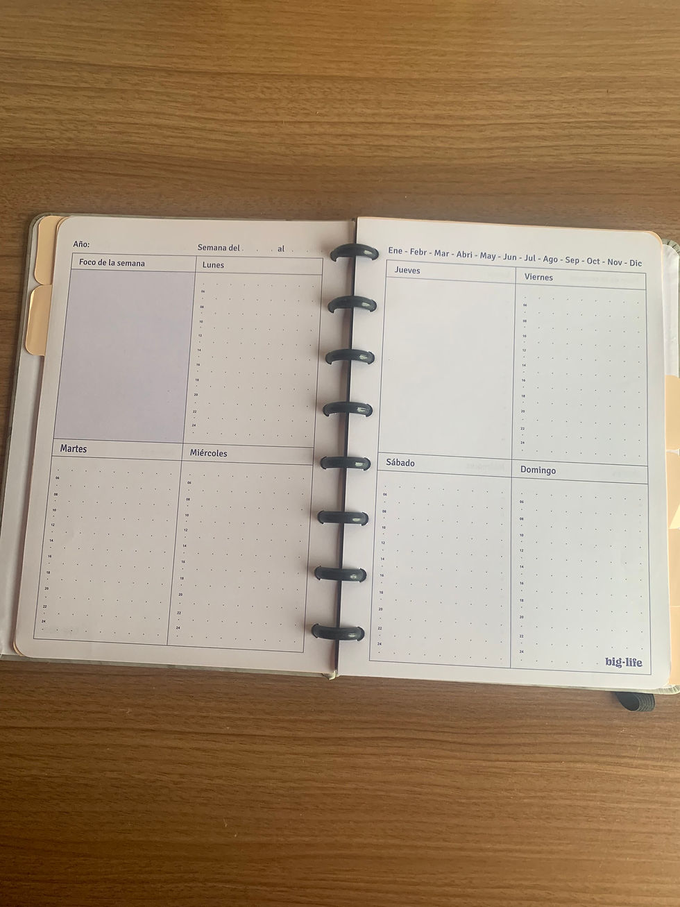 Miniatura: Planner perpetuo 