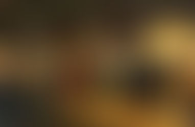 Major Compromises to the new Constitution