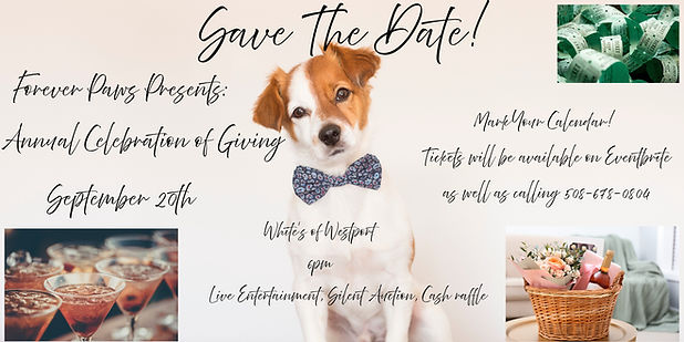 Save The Date (3).jpg