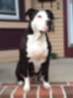Denali