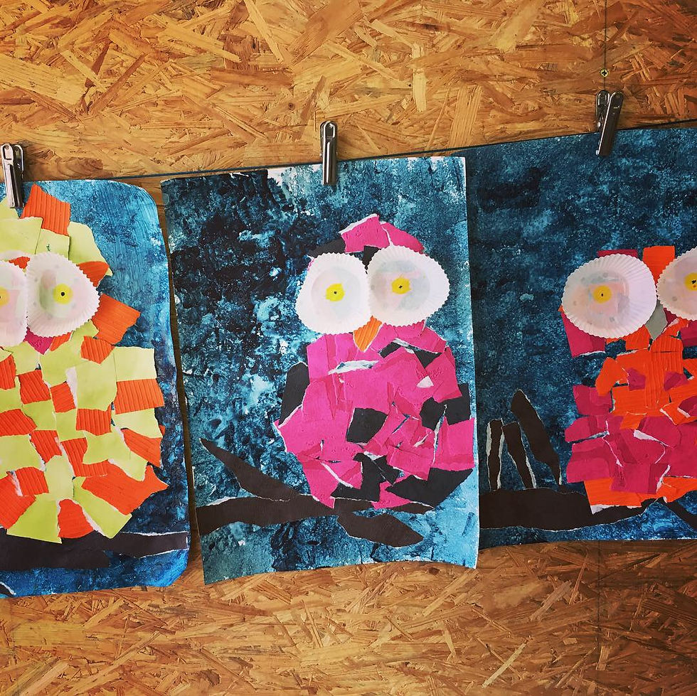 Les chouettes