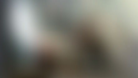 December 2020 Book of the Month: The Puffin Keeper