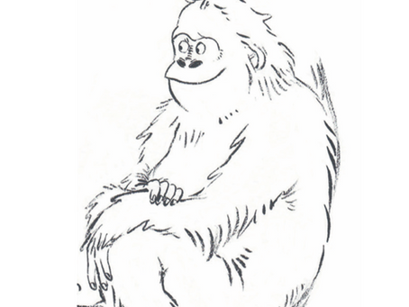Any questions? Paul Mason: The International Yeti Collective