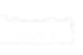 BioScintLogo.png