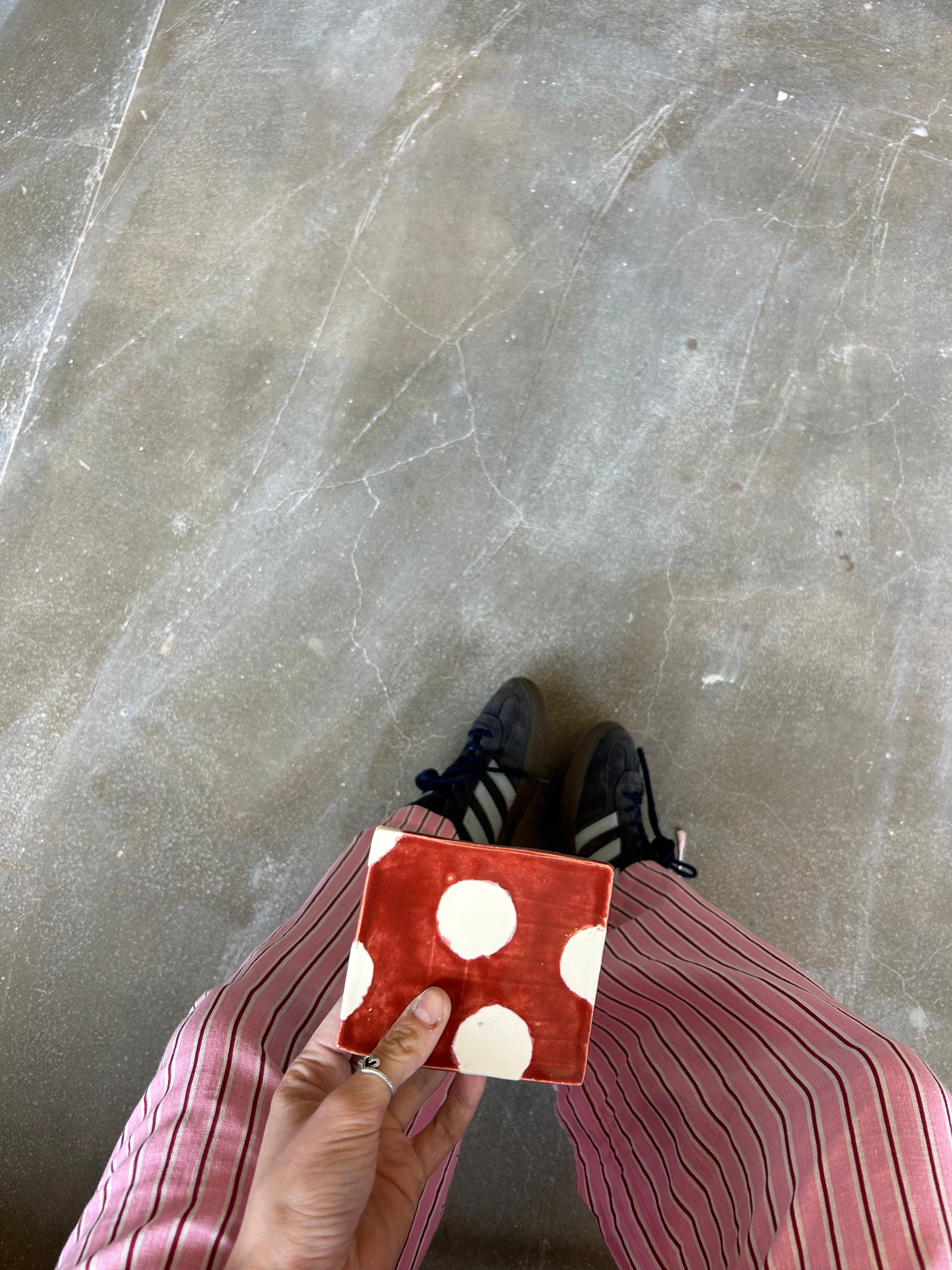 the polka dot coaster 