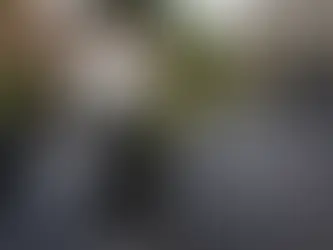 Coal Tar Sealer vs Asphalt Based Sealer