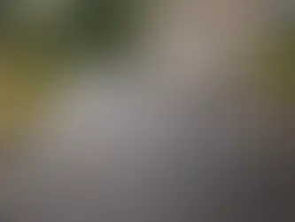 7 Signs Your Driveway Is Drying Out