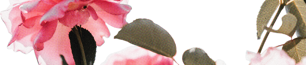 FLORAL52_edited.png