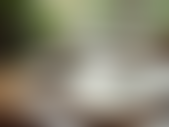 Unleash Your Potential: A Comprehensive Guide to Awaken Your Abundance and Embrace Feminine Wealth