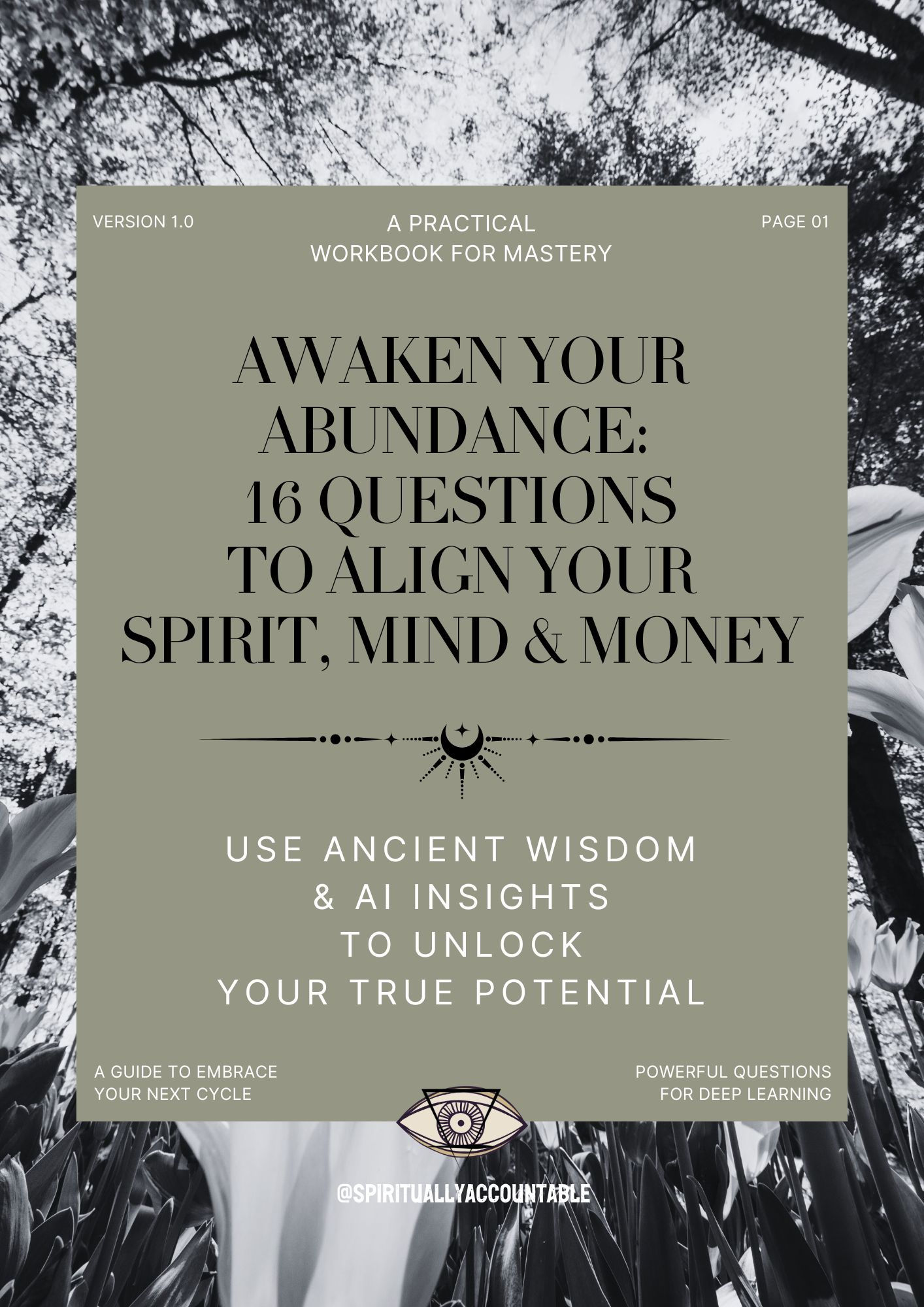 Awaken Your Abundance:  16 Questions to Align Your Spirit, Mind & Money Workbook