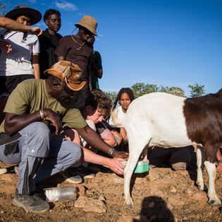 Reflecting on the WIS EHRA Damaraland Expedition Insights and Experiences