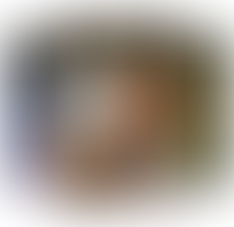 New at the WIS Secondary Library