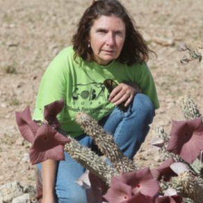 WIS grade 7 students interviewed the Executive Director of Gobabeb
