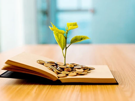 Satışın Matematiği-2: Değeri Belirlemek