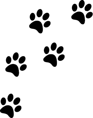 45e07109d148d6af278bf152bb3d6425_cat-paw-print-cat-paw-prints-vector-paw-print-clipart_564-557.png