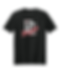 DC Wildcats "DC" Gildan Softstyle® T-Shirt