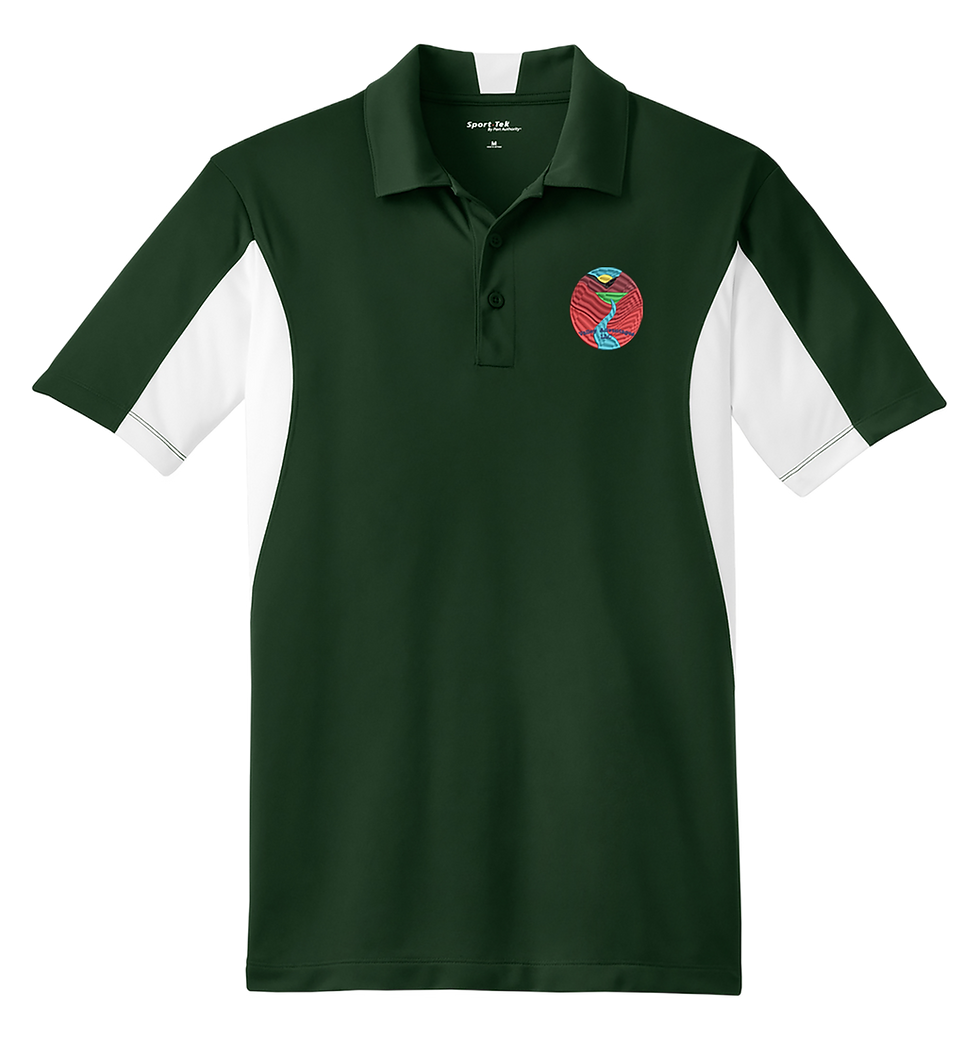 Thumbnail: Valley Advantages Embroidered Sport-Tek Side Blocked Micropique Sport-Wick® Polo