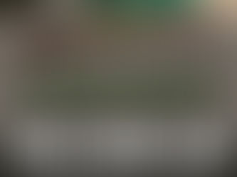 Free Range Day at Long Shot Ammo & Arms – November 23, 2025