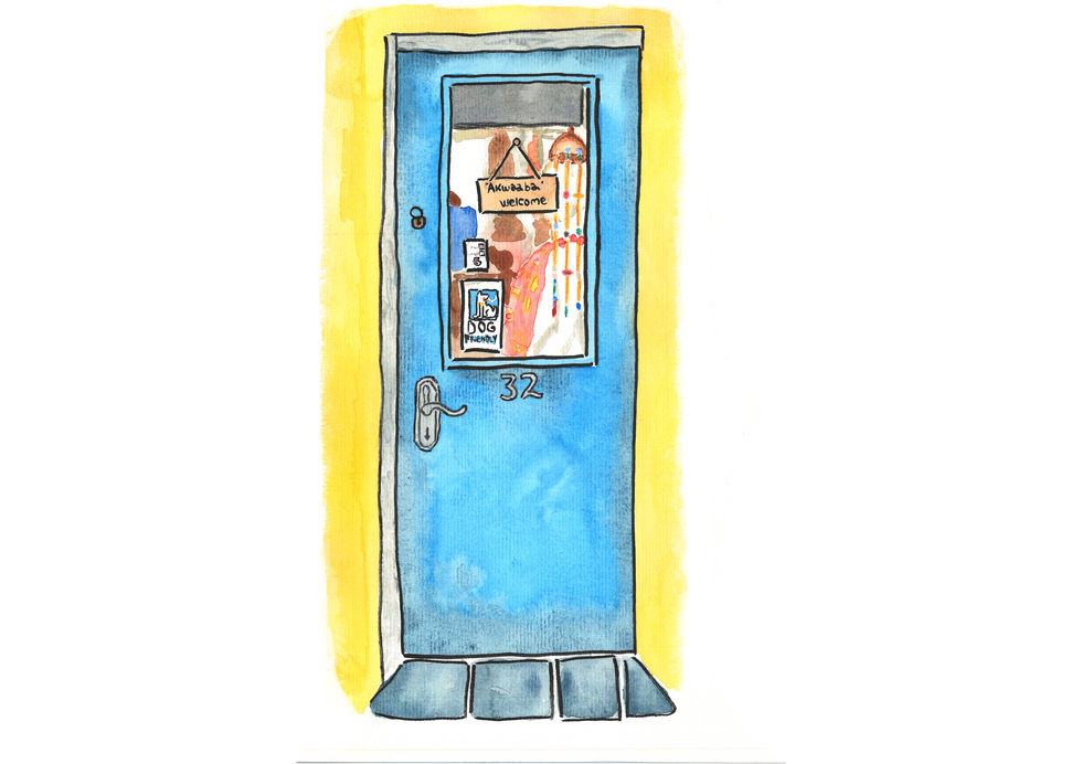 Dazzeloustrous Illustration cover of the door