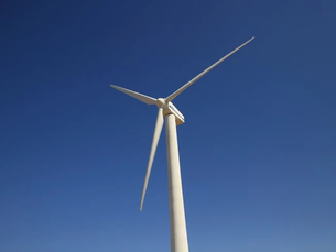 Vestas Appoints Former Shell Executive Anna Mascolo to Lead European and Offshore Wind Operations