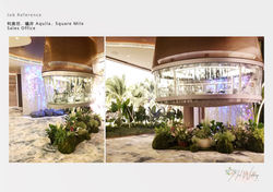 Project Reference 利奧坊.曦岸Aquila.Square Mile