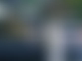 Adjustable Ball Mounts For Any Height