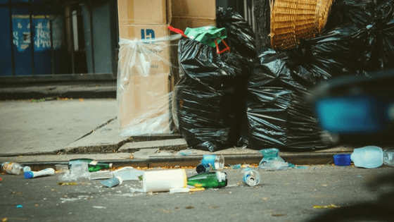 Reusable foodware