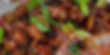 Szechuan Chicken or Beef