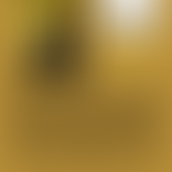 Teacher Spotlight: Francis Thompson