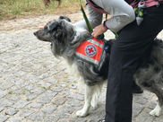 IMG_2067.jpeg