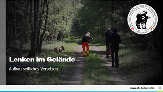 seitliches versetzen.jpg