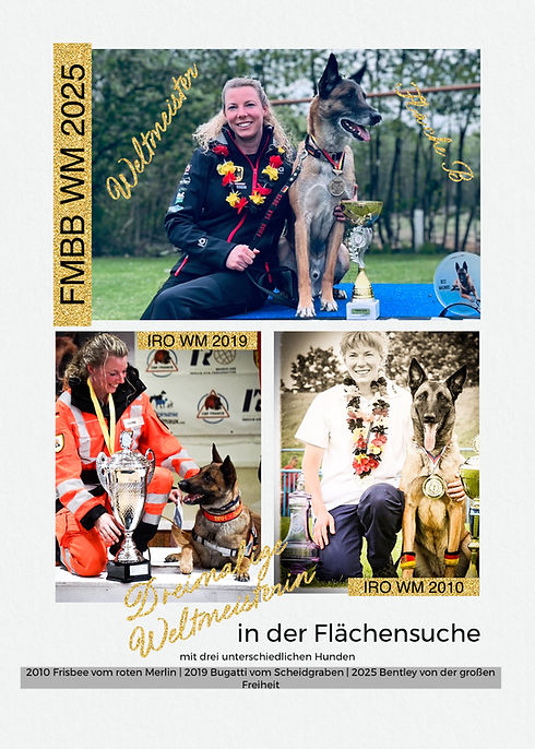 Drei WM Titel.JPEG