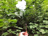 IMG_1593.jpeg