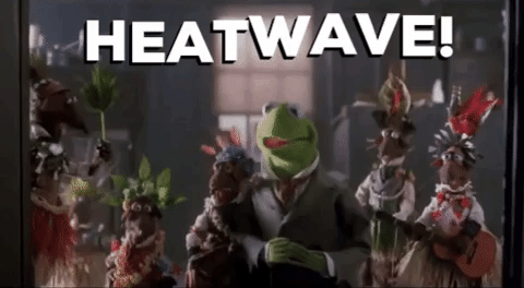 Heatwave Muppet Christmas Carol.gif