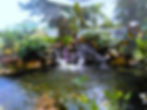 Koi Pond Watrfall