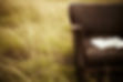 a_bible_rests_on_a_leather_chair_in_a_grassy_field-1920x1280.jpg
