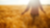 Seeds of Faith