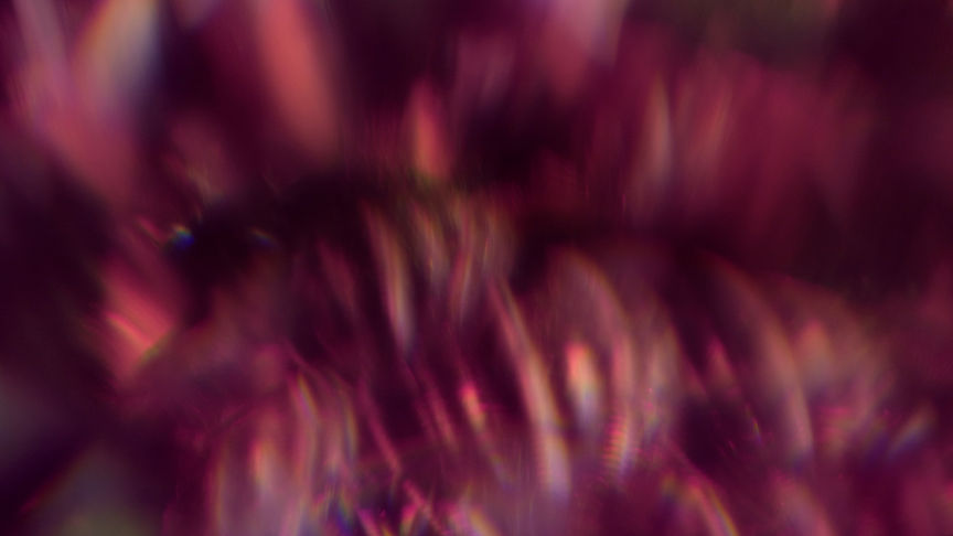 christmas_ornamental_17-Wide 16x9.jpg