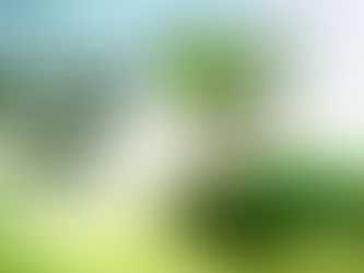 On Being Good Stewards of God's Creation