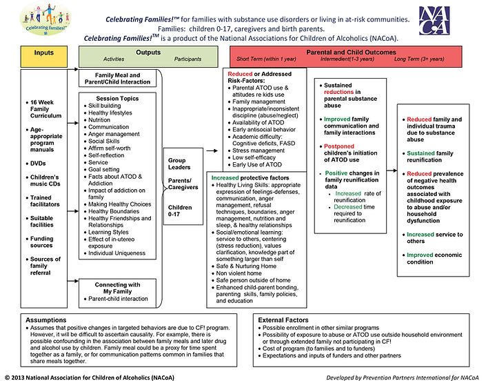 CF_LogicModel (1).jpg