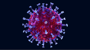 Is your pastor at risk of dying from Coronavirus? See the National Survey on Clergy Covid Deaths
