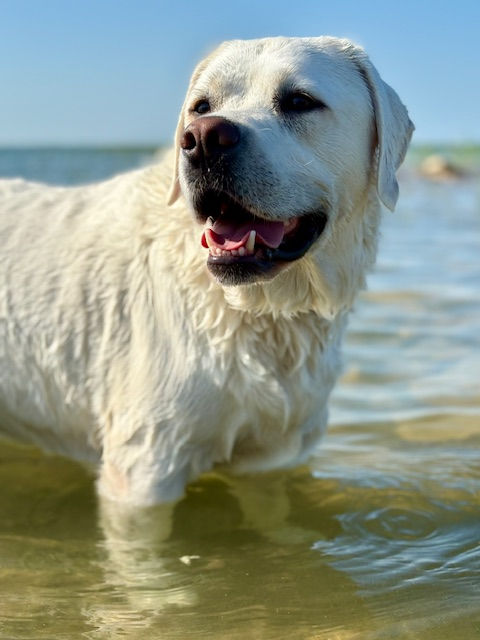 Water