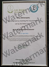 Ema Melanaphy's UK Reiki Federation Reiki for Animals accreditation certificate